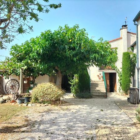L'Habitacio De Can Rufa Maureillas Exteriör bild